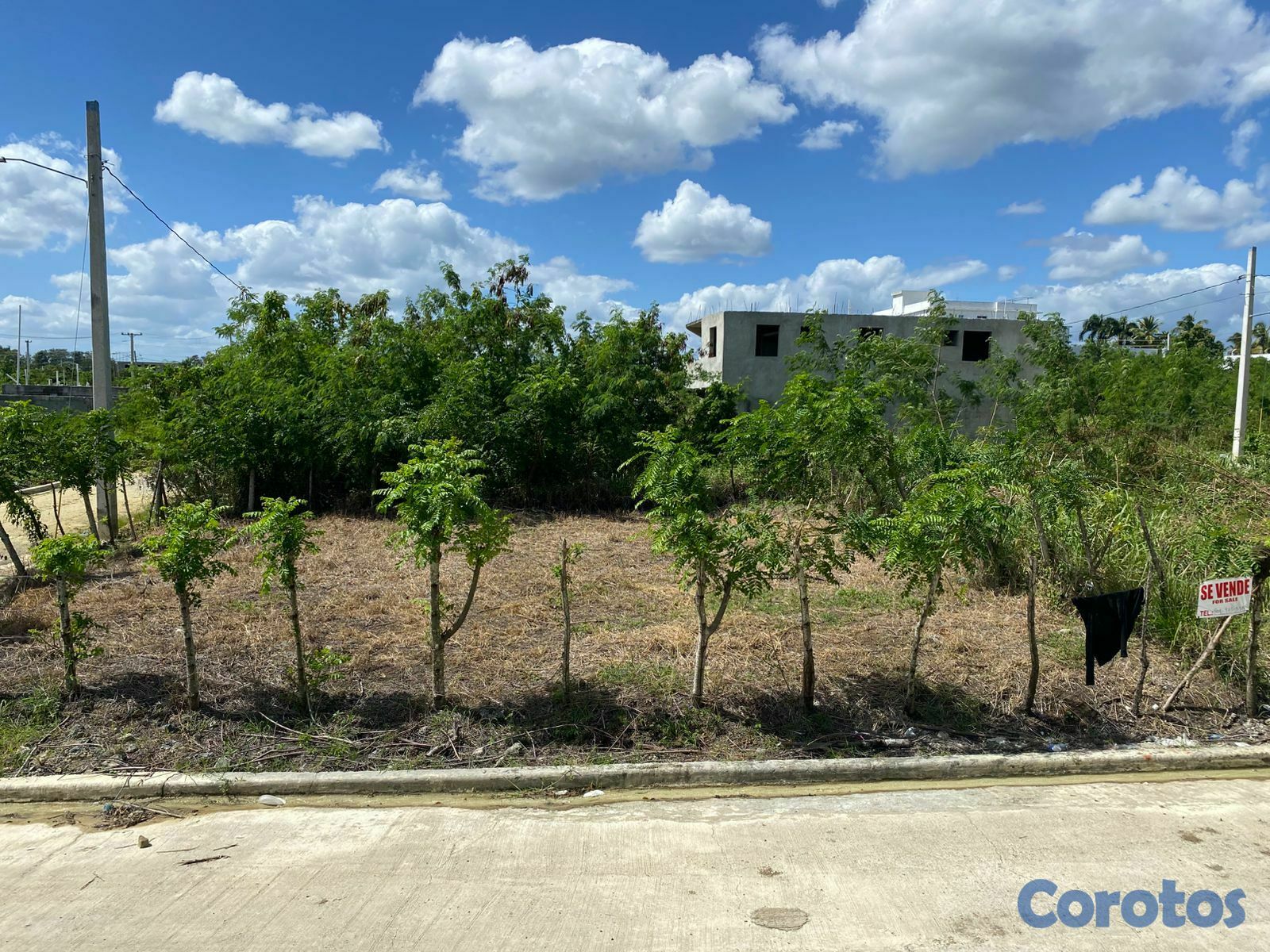 solares y terrenos - Solar 4