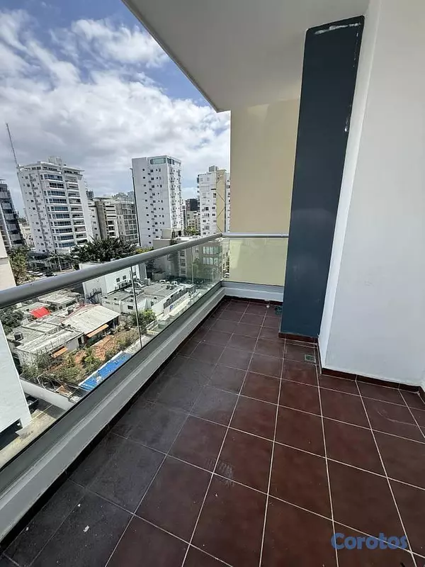 penthouses - Alquilo Apartamento en Naco 2