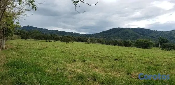 solares y terrenos - finca ganadera  en la Vega  4