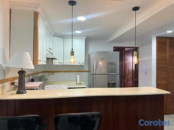apartamentos - Apartamento en Alquiler Completamente Amueblado Se 4