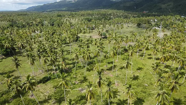solares y terrenos - Vendo Terreno en Majagual Samaná 8