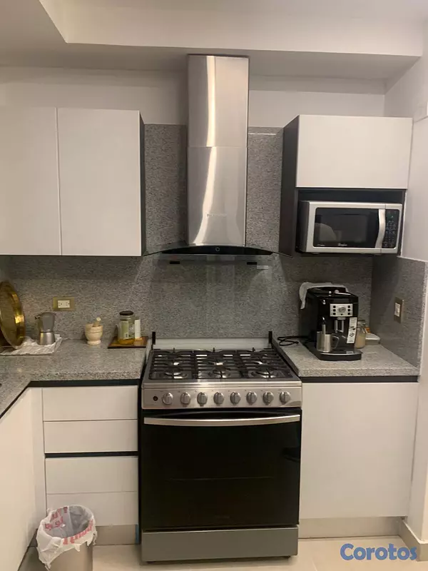 apartamentos - Apartamento En Alquiler Amueblado En La Esperilla  1