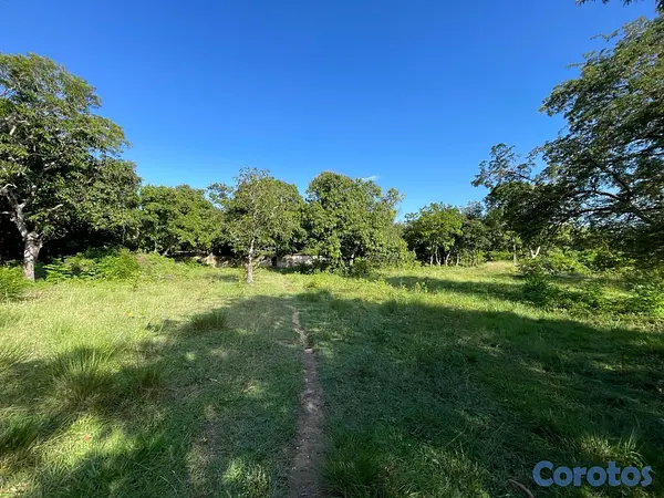 casas - Oportunidad! 38,000 m² en Nigua - Ideal para Naves o Parqueo 2