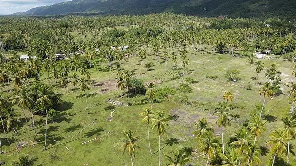 solares y terrenos - Vendo Terreno en Majagual Samaná 9