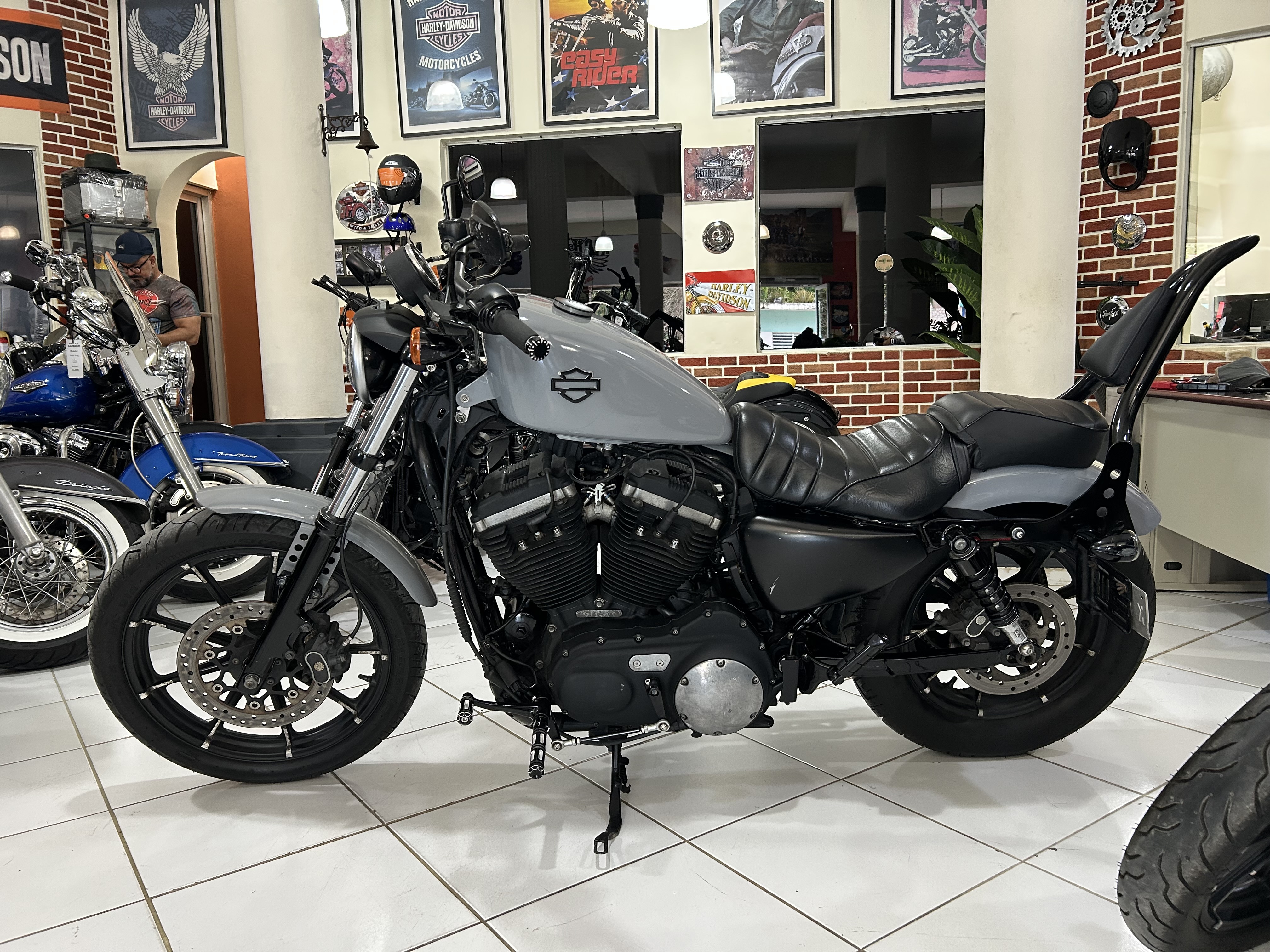 motores y pasolas - Sportster XL 883 año 2016 4