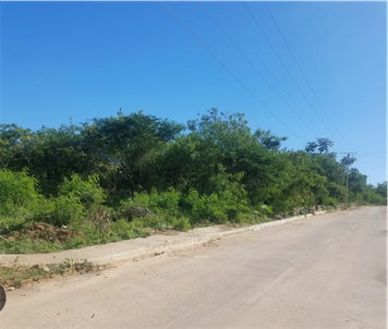 solares y terrenos - Vendo terreno a una esquina de la Jacobo 
36,500. Mts. 
Precio por Mts. Us$ 65