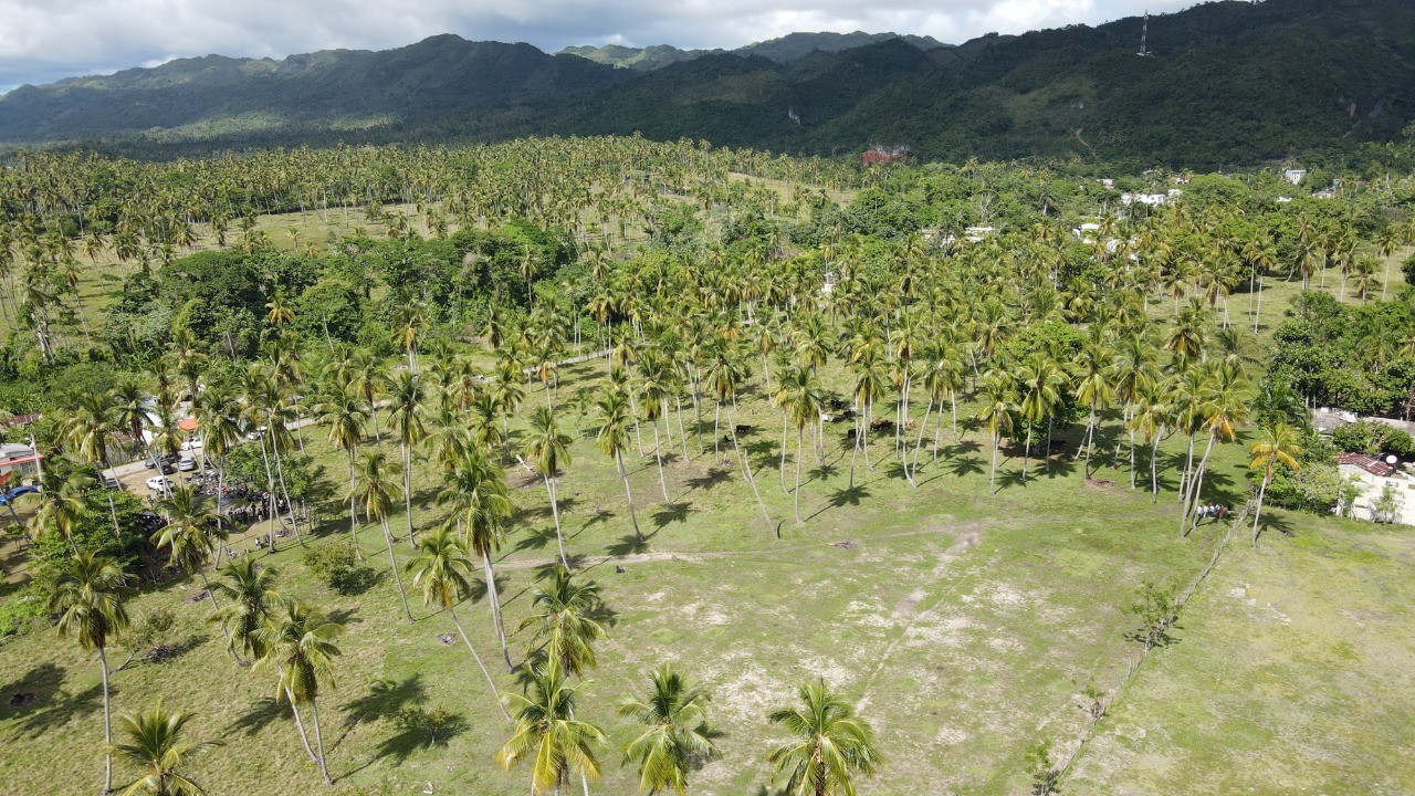 solares y terrenos - Solar 46,000 mts  Samana en Majagual 1