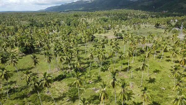 solares y terrenos - Vendo Terreno en Majagual Samaná 10