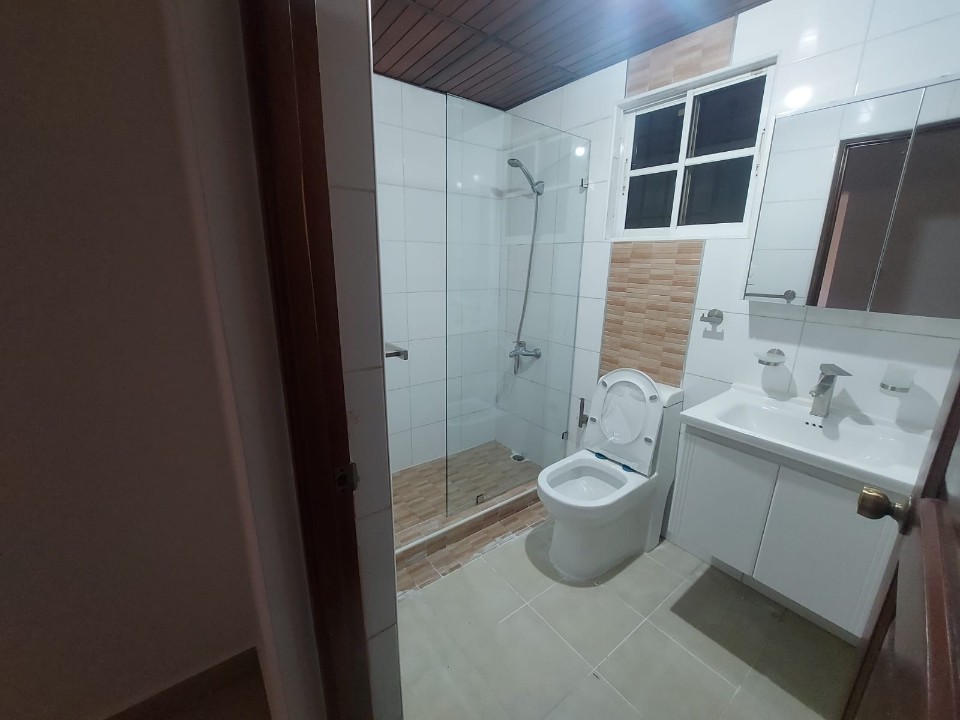 apartamentos - Apartamento en Alquiler en QUISQUEYA 7