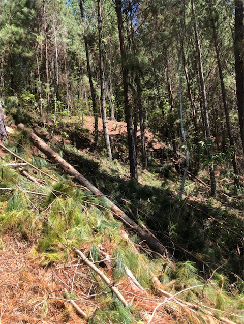 otros inmuebles - En Venta Finca El  Encanto, ubicada en el sector El Dulce, Jarabacoa, La Vega

