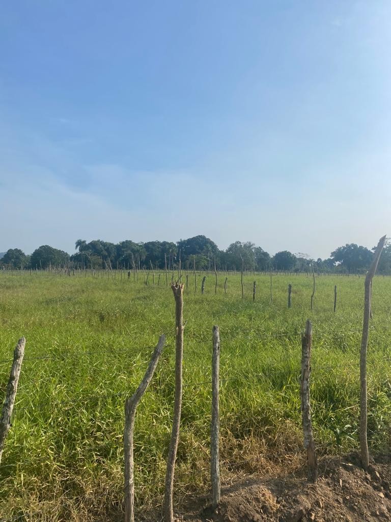 solares y terrenos - Finca 520 tareas en monte plata, en Don Juan 
 6