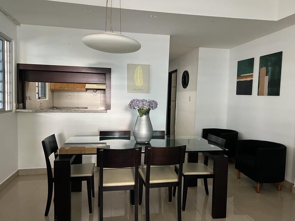 apartamentos - Se alquila apartamento amueblado en el Millón 1