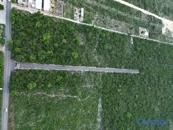 solares y terrenos - Bayahibe – Terreno en venta de 554 m2 4