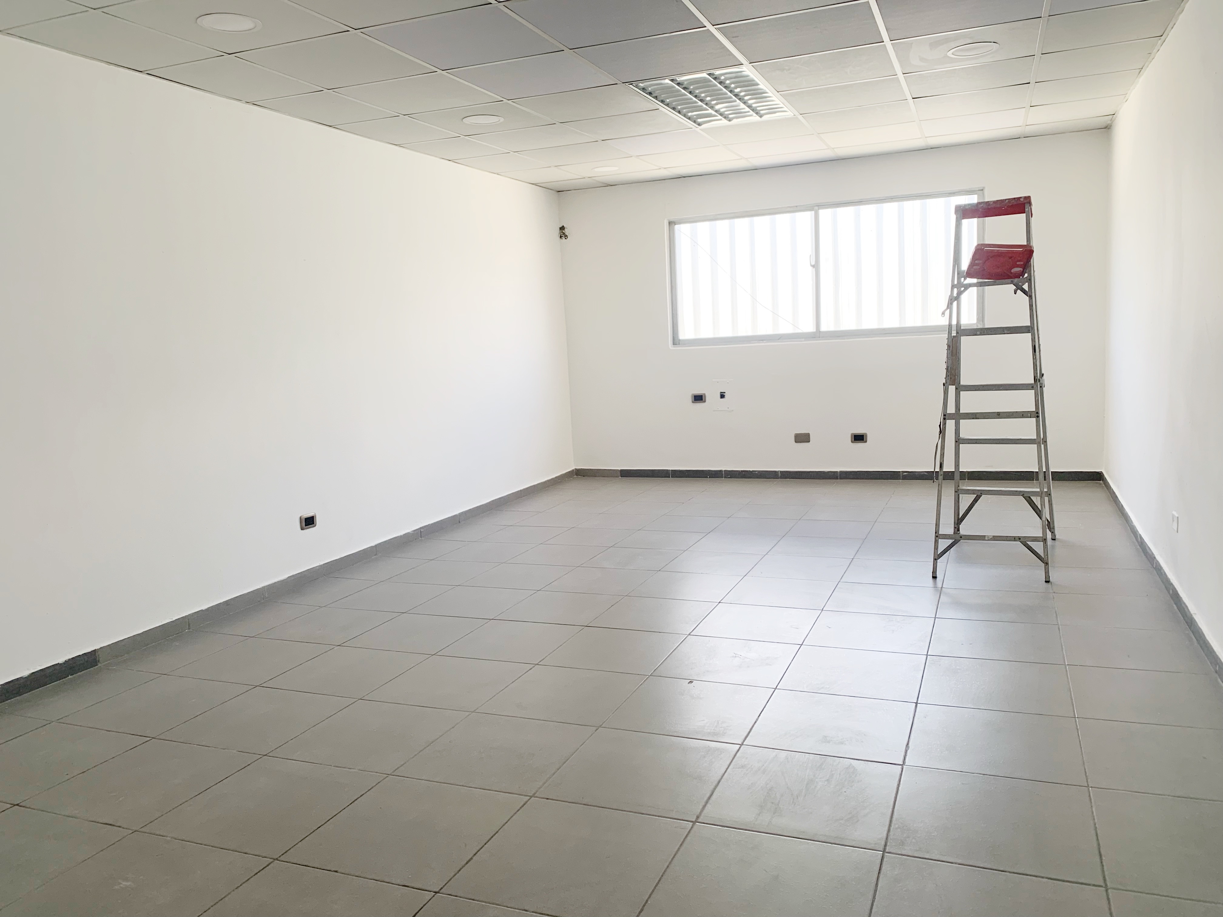 oficinas y locales comerciales - Local comercial céntrico  3