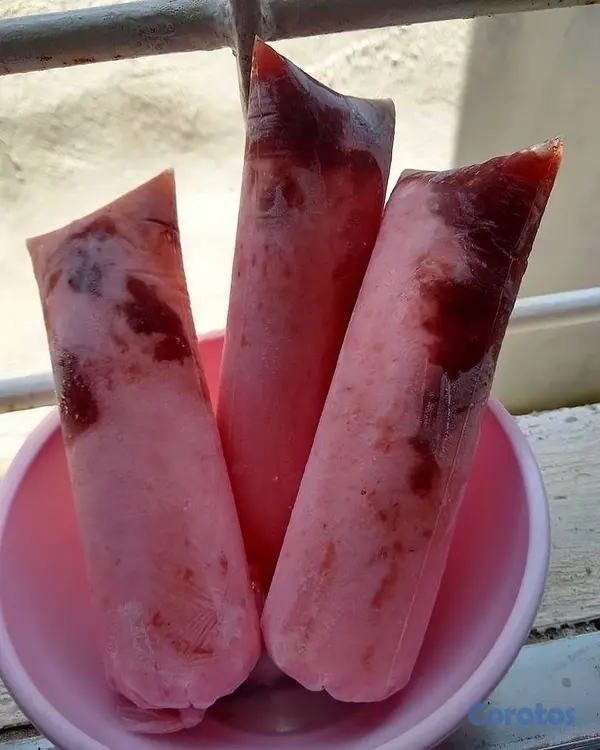 cocina - helados naturales  6