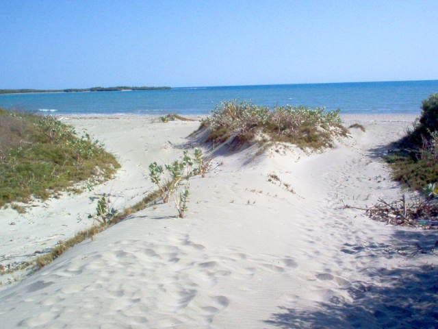 solares y terrenos - Solar En Azua Con Playa, con 1,750,000 metros con Playa 925m2 1