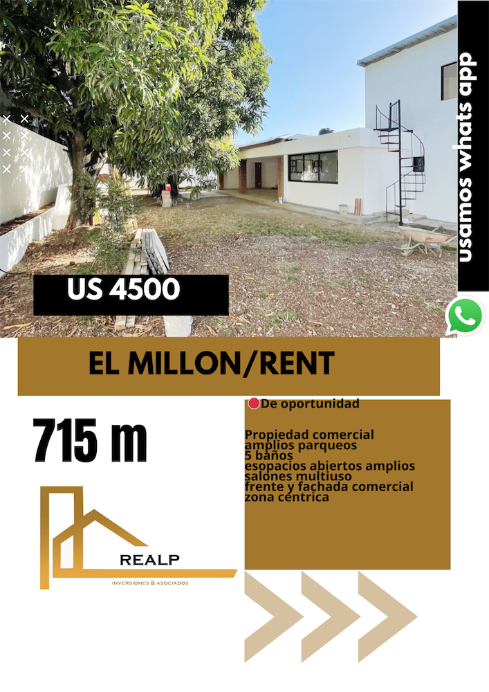 oficinas y locales comerciales - Propiedad comercial en el Millon  0