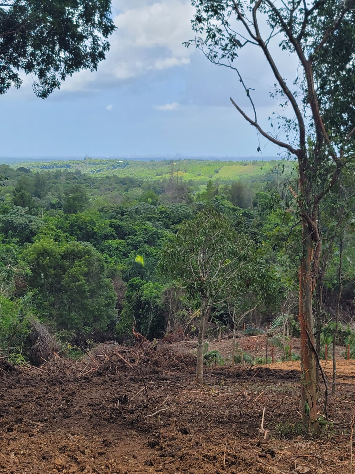 solares y terrenos - Venta de Solares en el Proyecto Vacacional Matua 3