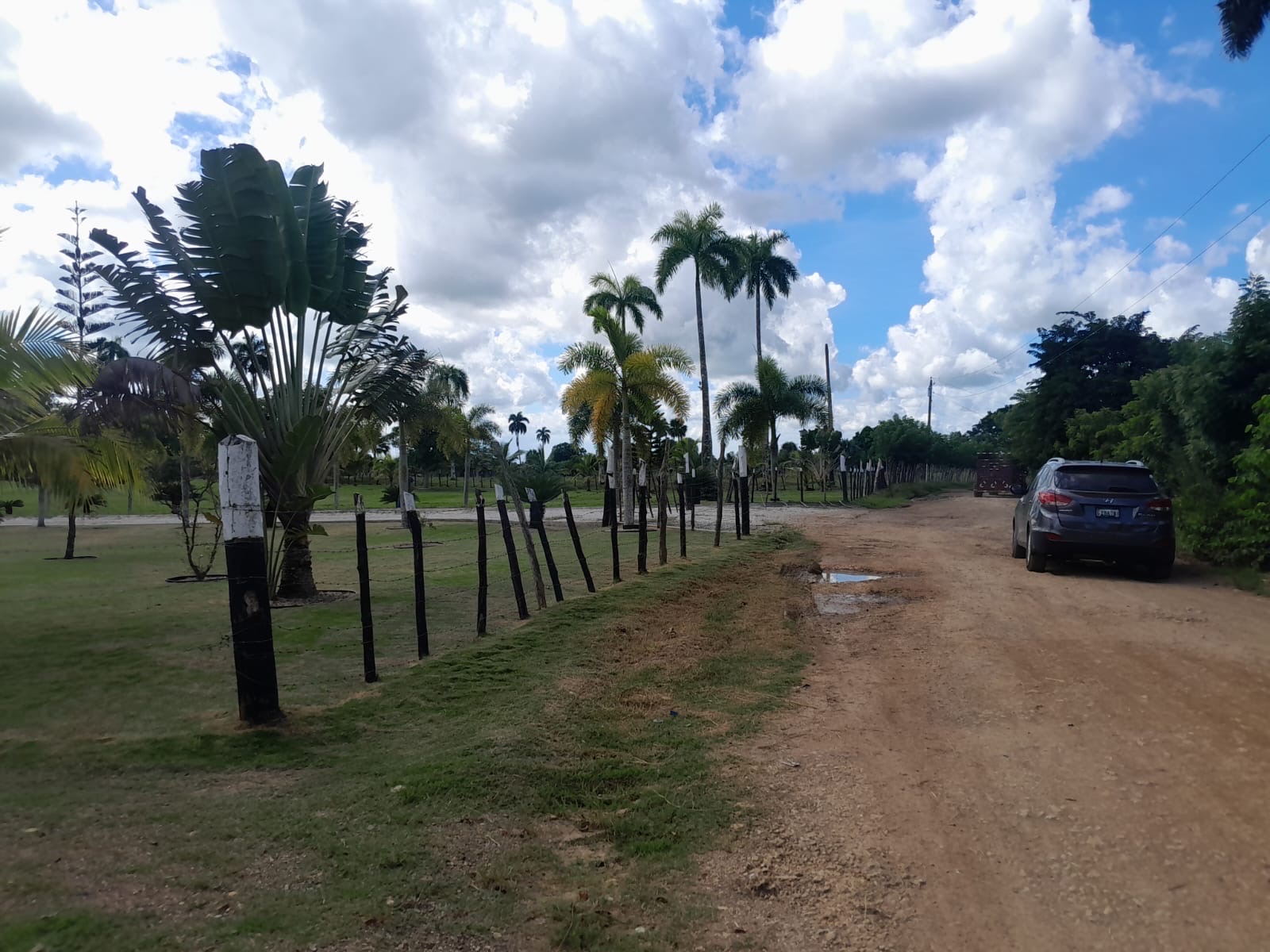 solares y terrenos - venta de finca de 15,193mts en Higuey República Dominicana  2