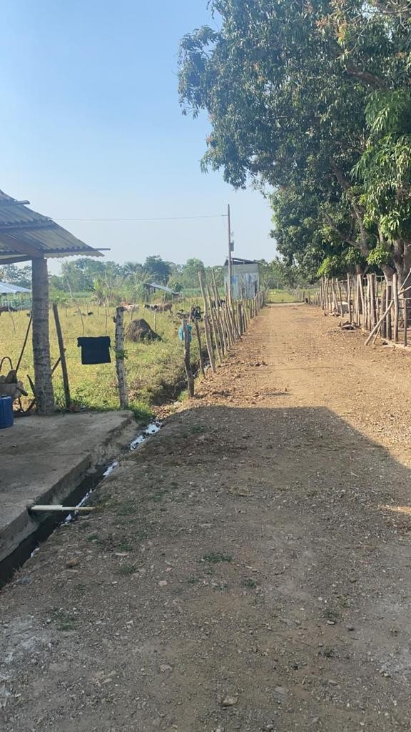 solares y terrenos - Finca 520 tareas en monte plata, en Don Juan 
 4