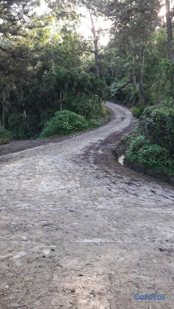 solares y terrenos - Venta de Solares en la Cumbre 3