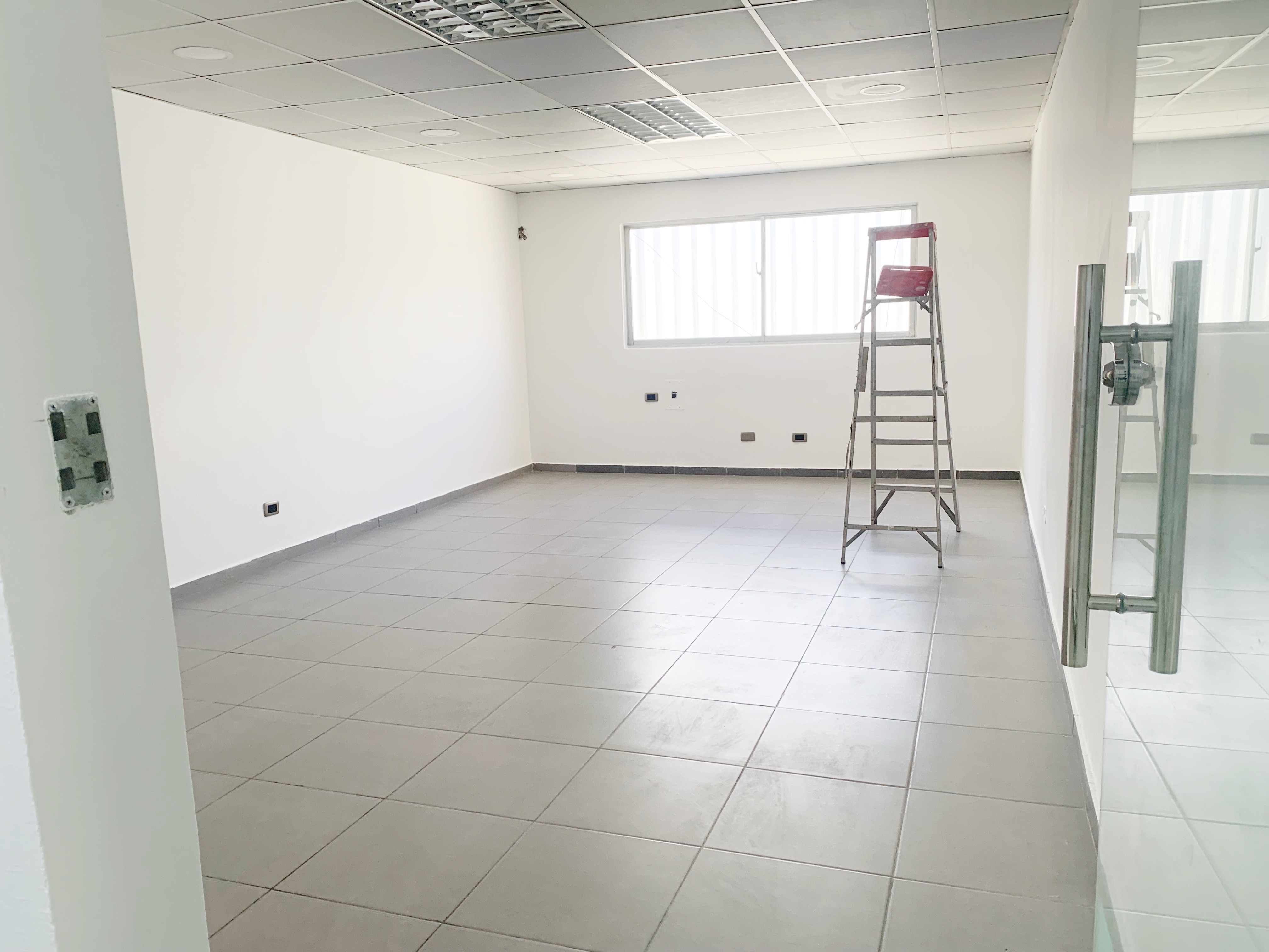 oficinas y locales comerciales - Local comercial céntrico  2