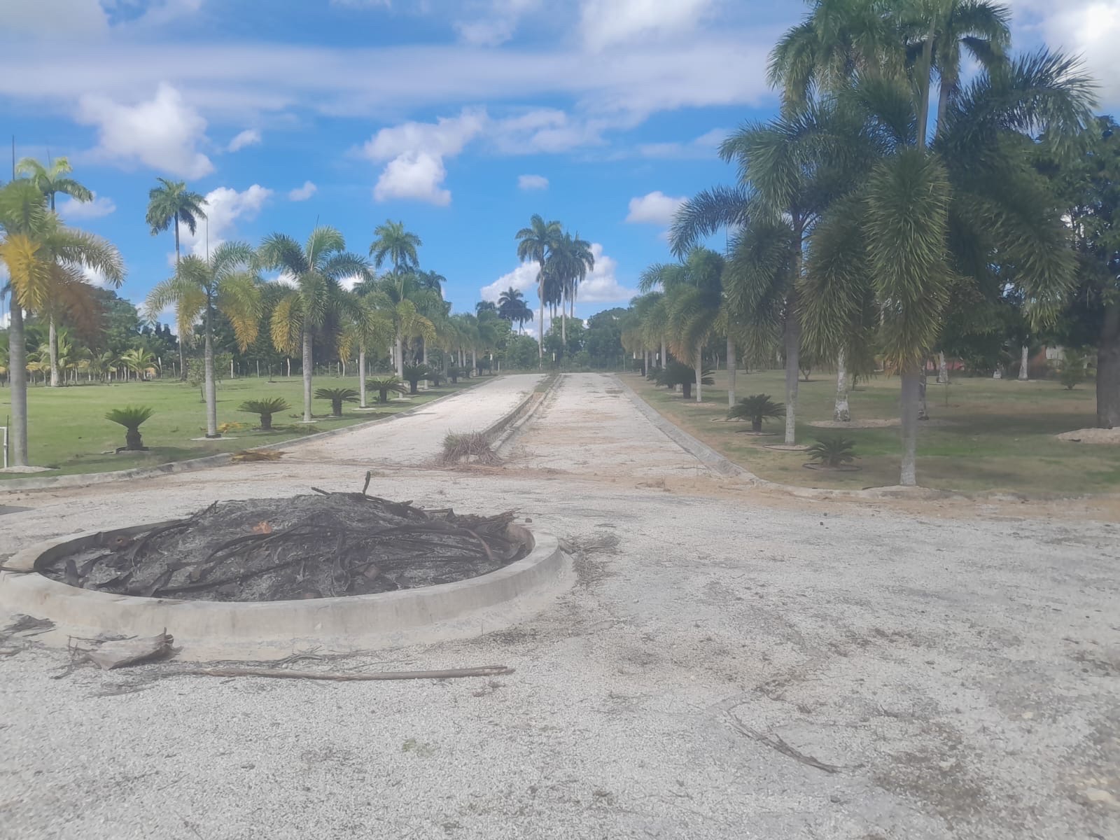 solares y terrenos - venta de finca de 15,193mts en Higuey República Dominicana  3