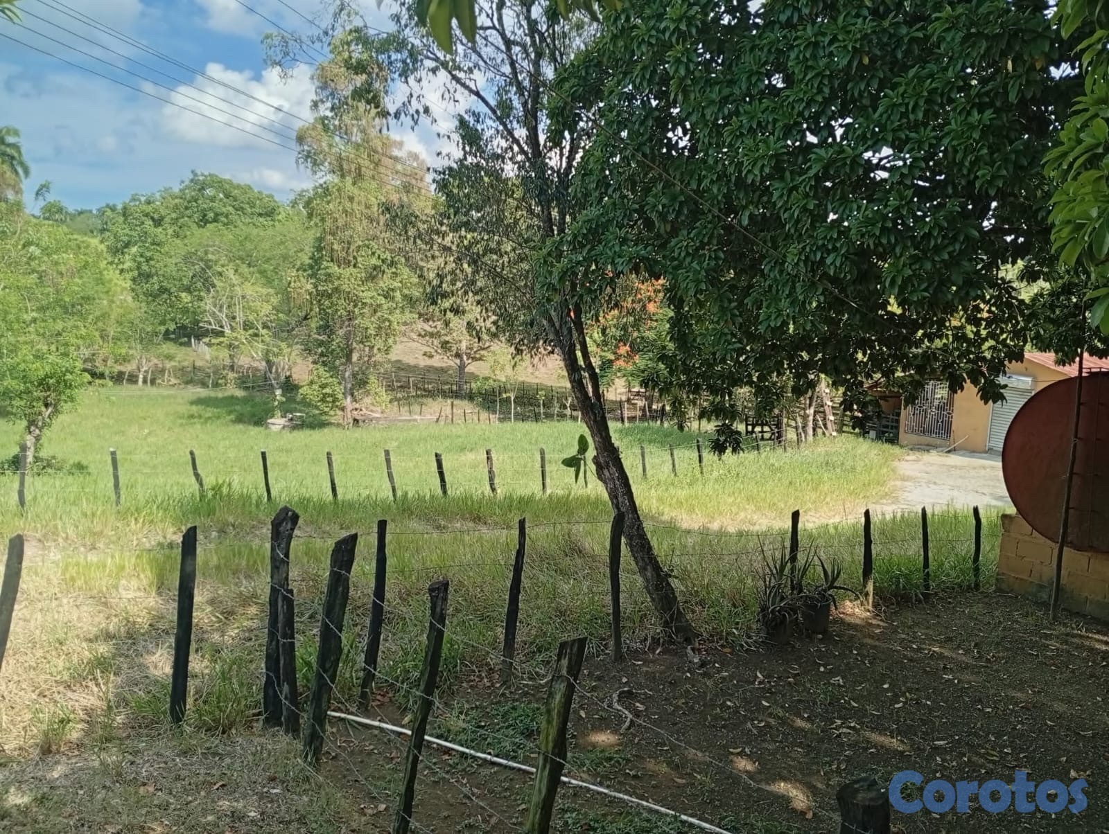 solares y terrenos - finca en Gaspar Hernandez  6