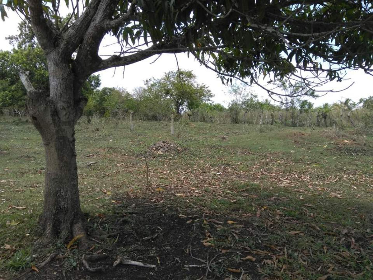 solares y terrenos - Terreno en Venta  4