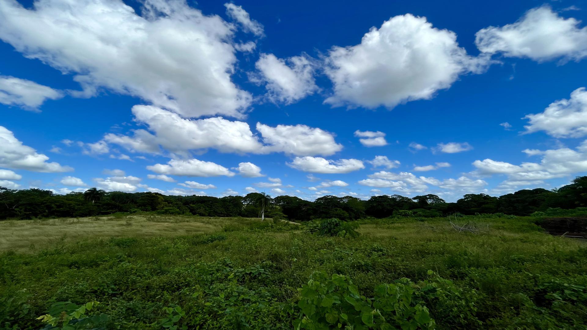 solares y terrenos - Terreno en Venta y Alquiler en la Av. Circunvalación, Santo Domingo Norte 1
