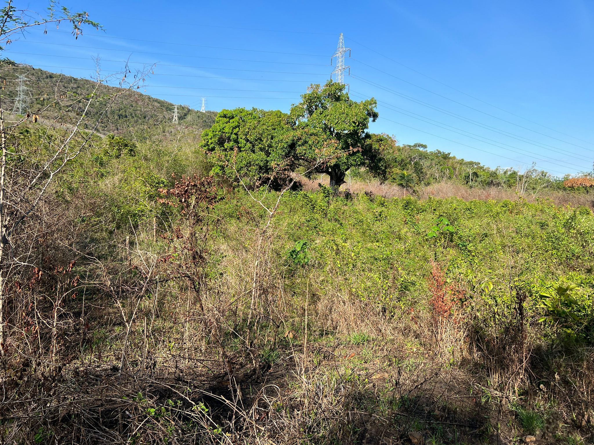 solares y terrenos - Inversión turística Pedro brand 3