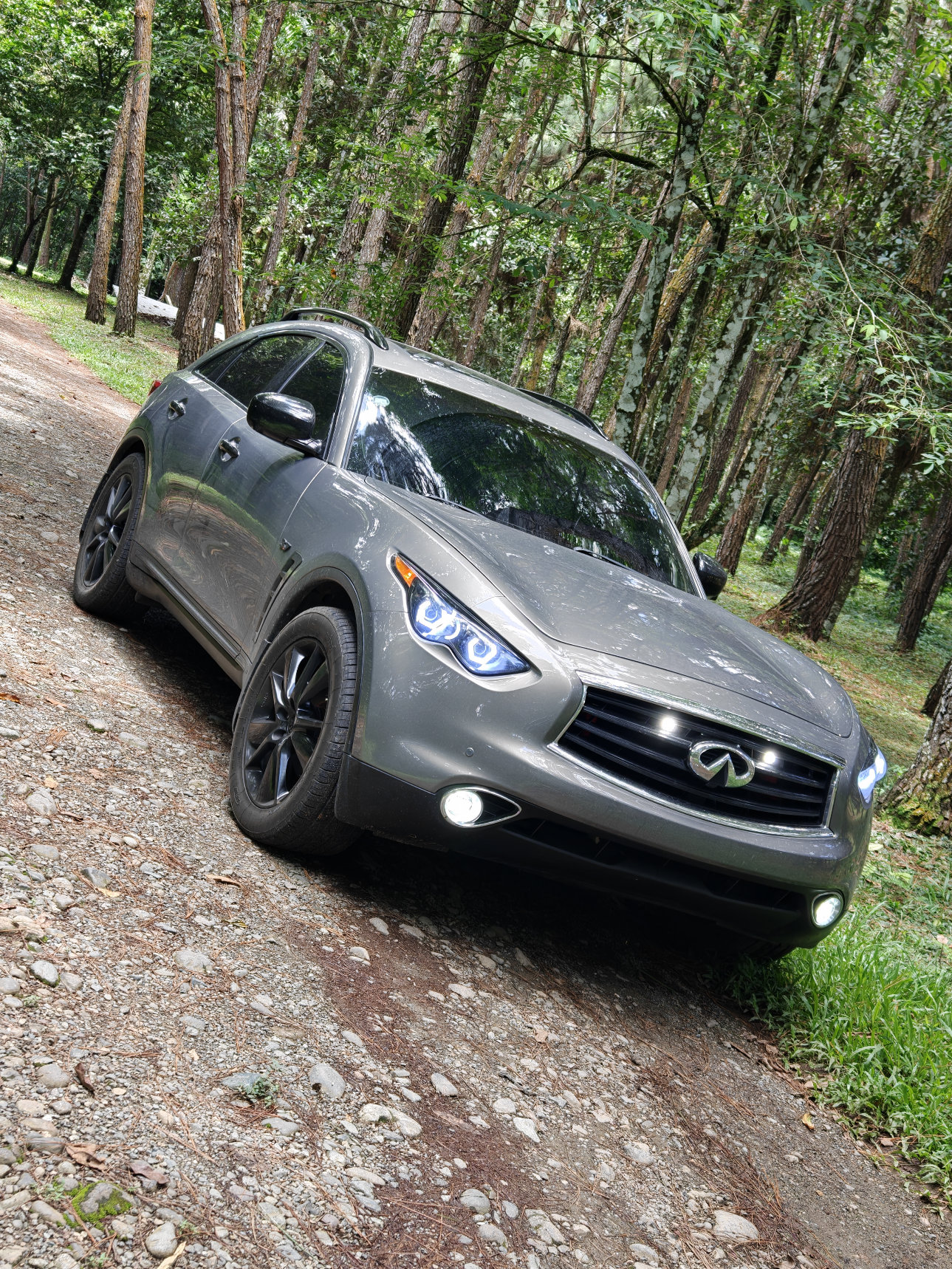 jeepetas y camionetas - Infiniti QX70 (2015) 2