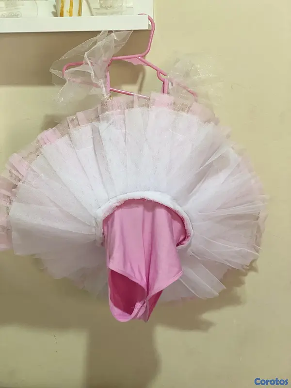 ropa y zapatos - Tutú de princesa  3