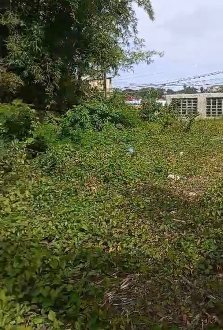 solares y terrenos - Venta Terreno Ubicado en Arroyo Hondo Tercero, Santo Domingo 2