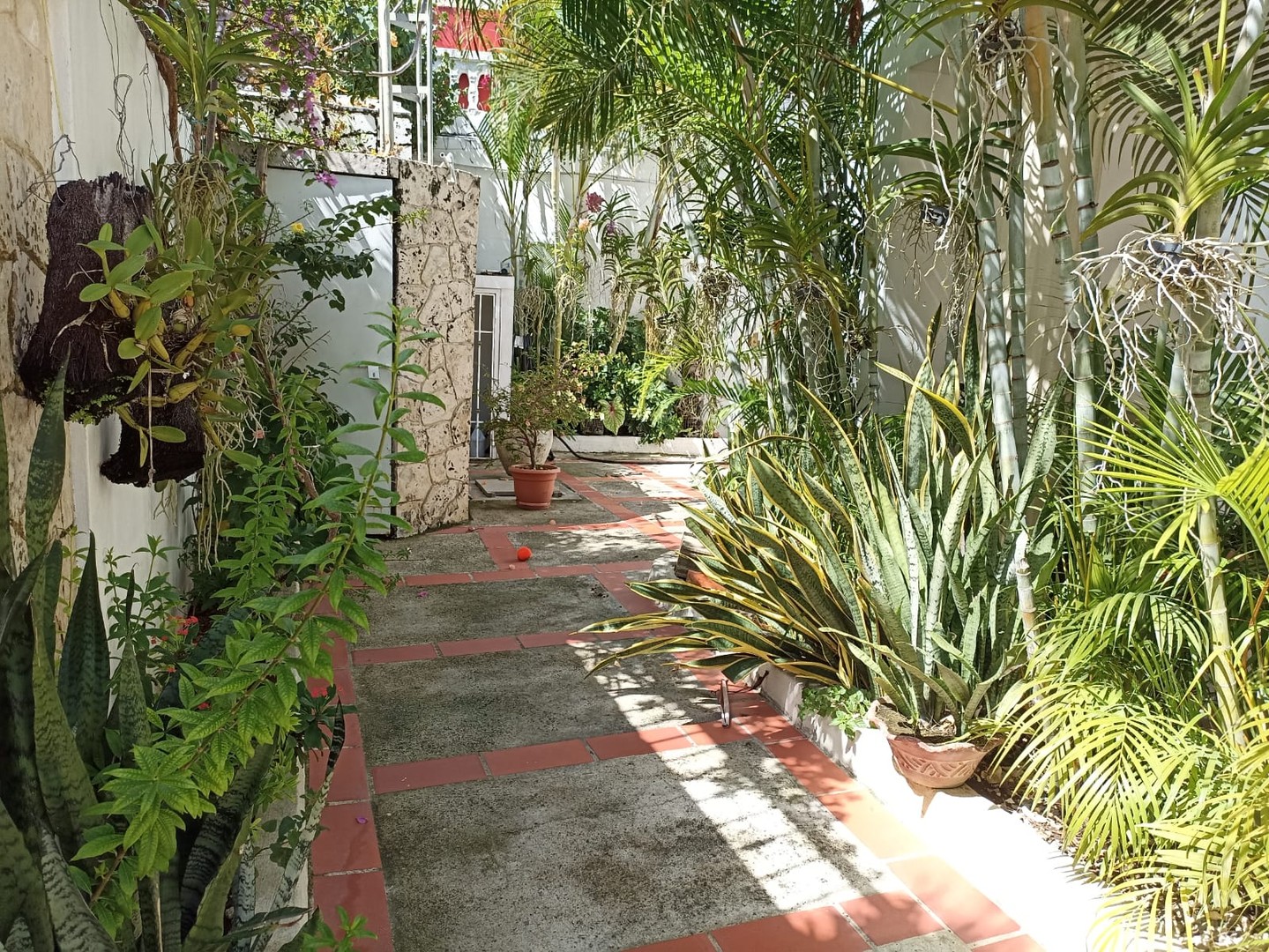 casas - VENDO CASA DE DOS NIVELES EN LA URBANIZACIÓN TROPICAL.AV. INDEPENDENCIA KM 71/2 1