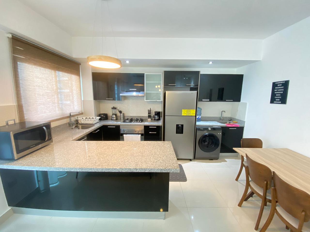 apartamentos - Alquilo apartamento amueblado en Piantini 9