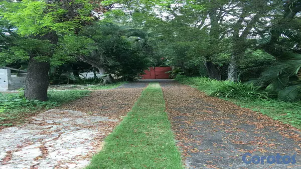 solares y terrenos - Venta Terrenos y Finca Km 25 Autopista  Duarte 4