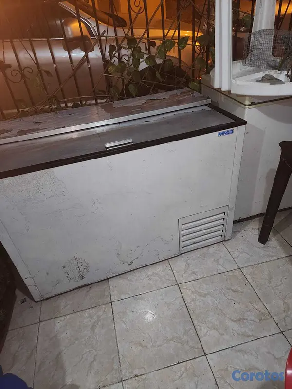 equipos profesionales - Vendo freezer 3