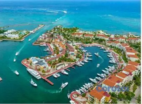 casas vacacionales y villas - Villas de Lujo en Cap Cana 8