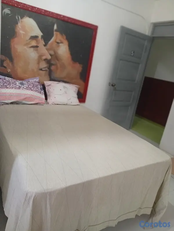apartamentos -  VENDE COMPLEJO DE RENTA APARTAMENTOS  Y LOCALES C 20