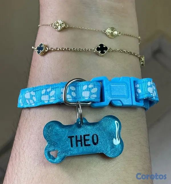 animales y mascotas - Collares y Chapillas personalizadas para mascotas  9