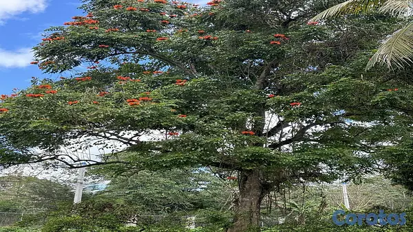 solares y terrenos - Venta Terrenos y Finca Km 25 Autopista  Duarte 5