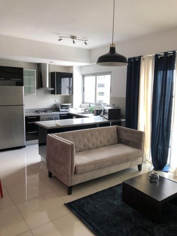 apartamentos - Alquiler de apartamento de 1 habitacion en piantini 6