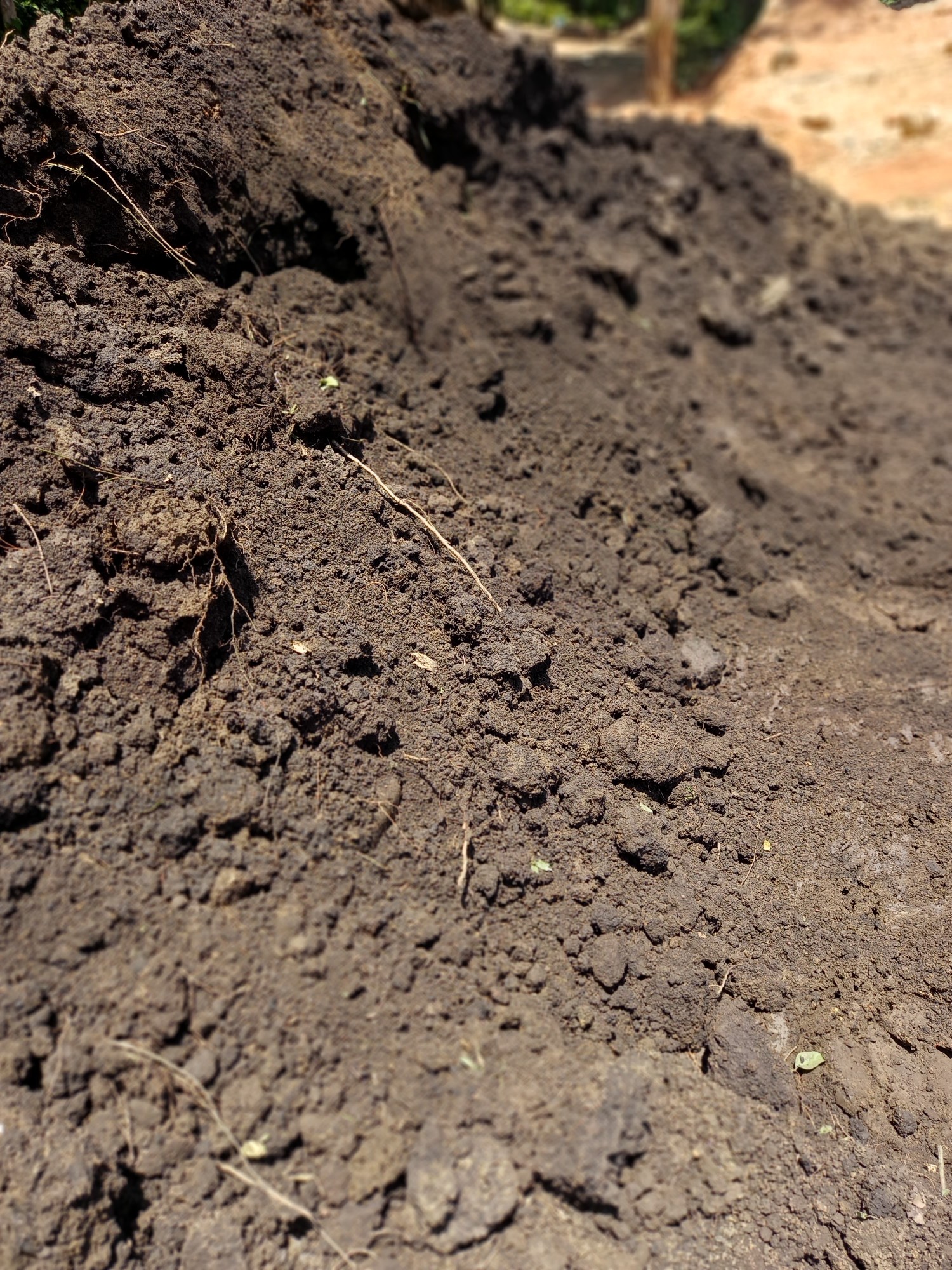 herramientas, jardines y exterior - Tierra negra 1