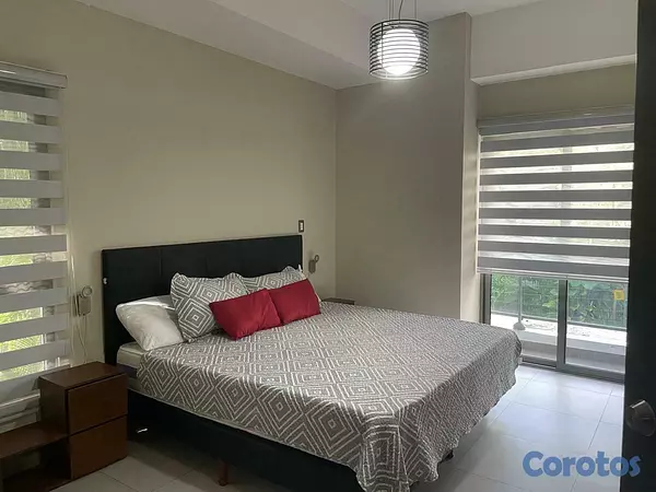 apartamentos - Apartamento en Alquiler en Piantini Amueblado de U 14