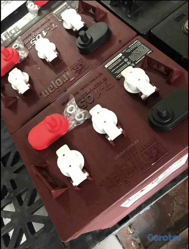 plantas e inversores - Carga tus baterías de inversor con paneles solares 3