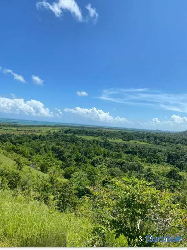 solares y terrenos - Terreno 7,500,000 Mts Frente de Playa en Miches 3