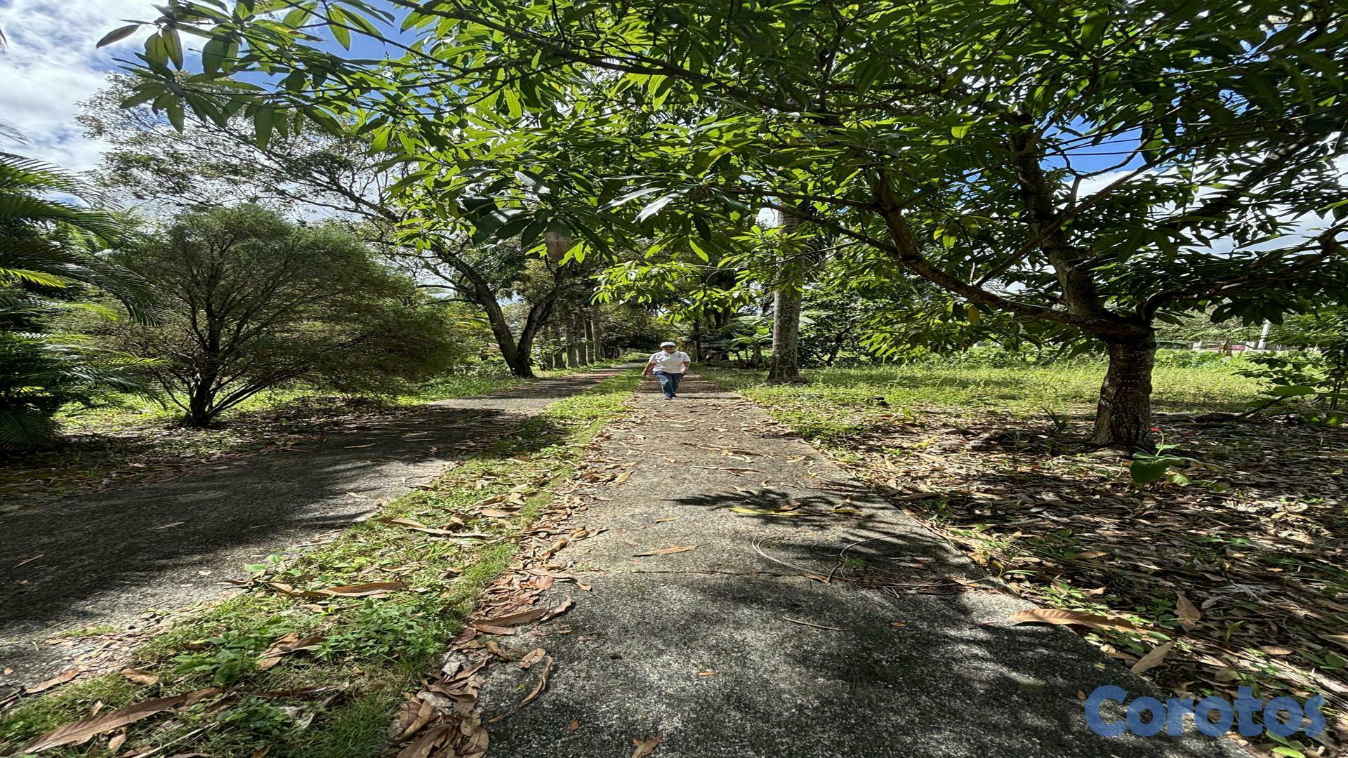 solares y terrenos - Venta Terrenos y Finca Km 25 Autopista  Duarte 7