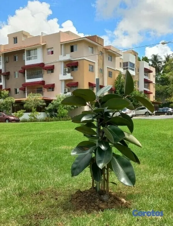 apartamentos - Dios📍Mudate al lado del Bravo y Jumbo Prolongación 27 de febrero, Colinas oeste 4