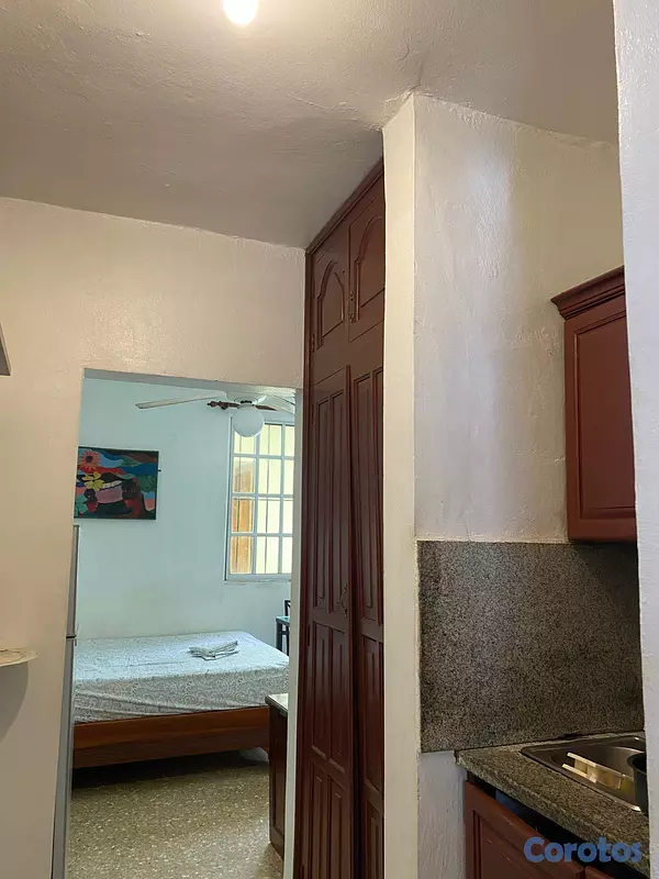 apartamentos - Alquiler Estudio Amueblado, Zona Colonial 2